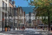 8大亮点麻豆网今日速览实用干货