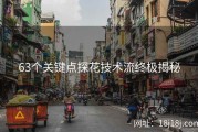 63个关键点探花技术流终极揭秘