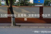51视频网站·五周年·深度体验·热议不断