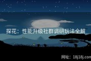 探花：性能升级社群调研玩法全解