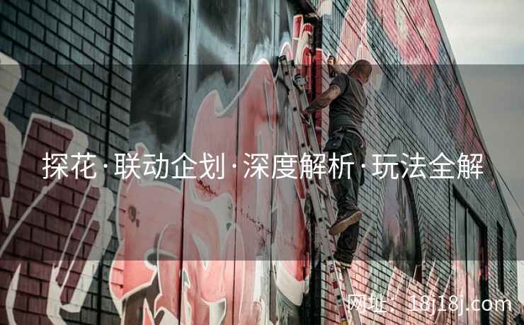 探花·联动企划·深度解析·玩法全解