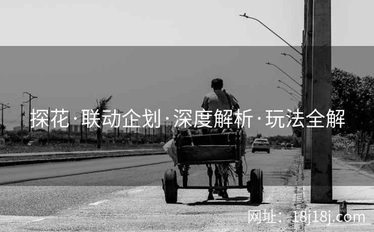 探花·联动企划·深度解析·玩法全解