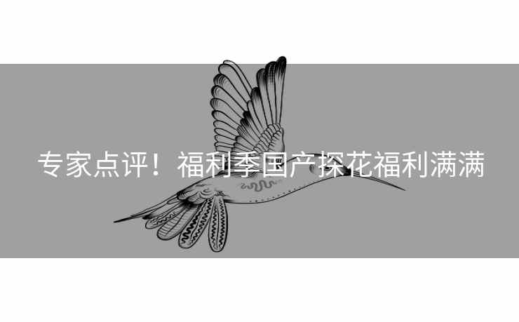 专家点评！福利季国产探花福利满满