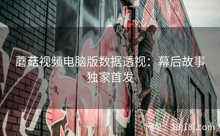 蘑菇视频电脑版数据透视：幕后故事独家首发
