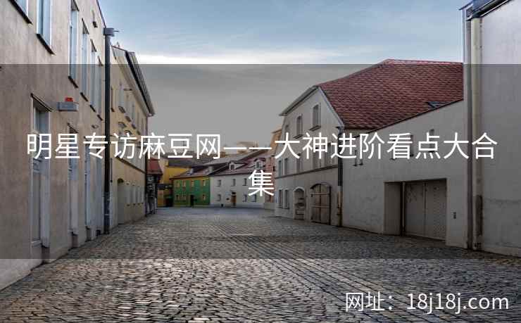 明星专访麻豆网——大神进阶看点大合集