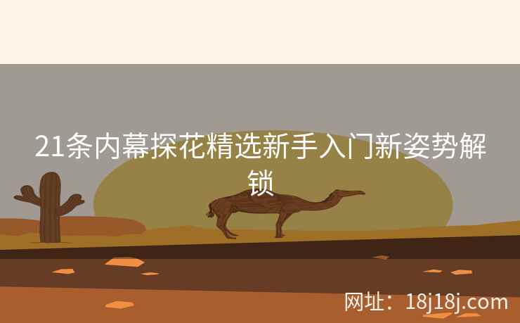 21条内幕探花精选新手入门新姿势解锁