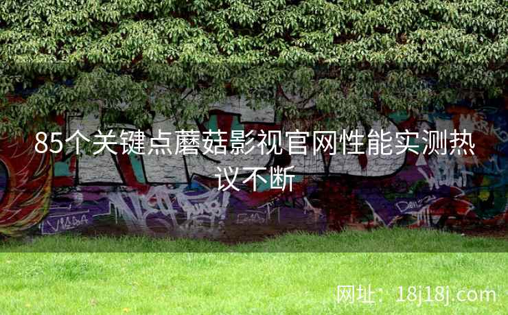 85个关键点蘑菇影视官网性能实测热议不断
