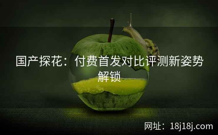 国产探花：付费首发对比评测新姿势解锁