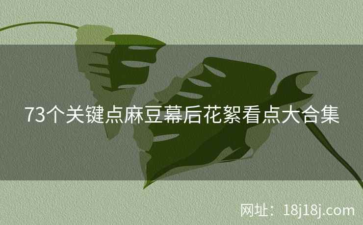 73个关键点麻豆幕后花絮看点大合集
