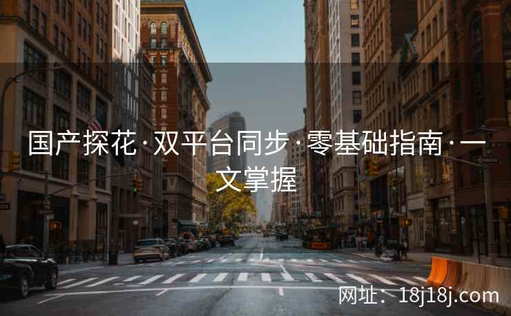 国产探花·双平台同步·零基础指南·一文掌握