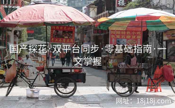 国产探花·双平台同步·零基础指南·一文掌握