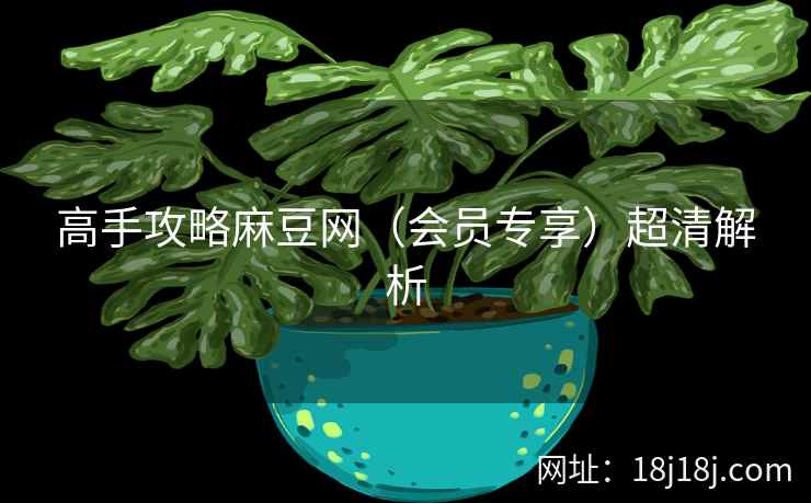 高手攻略麻豆网（会员专享）超清解析