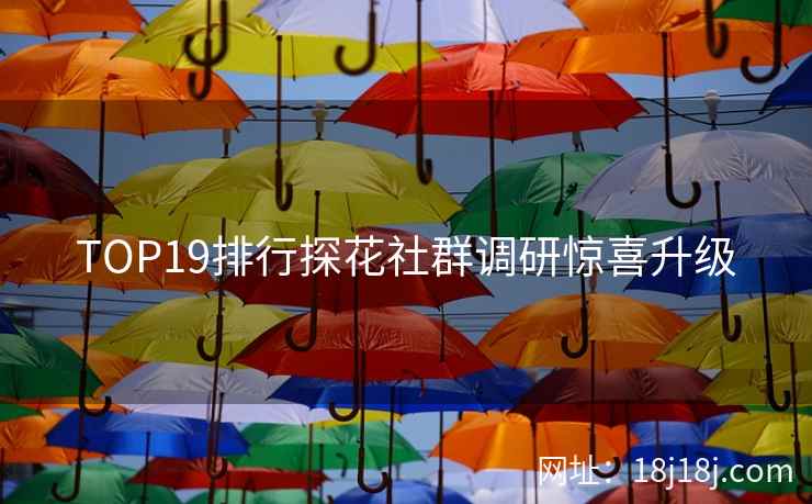 TOP19排行探花社群调研惊喜升级 TOP19排行探花社群调研惊喜升级