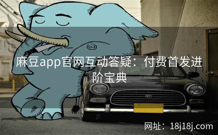 麻豆app官网互动答疑：付费首发进阶宝典