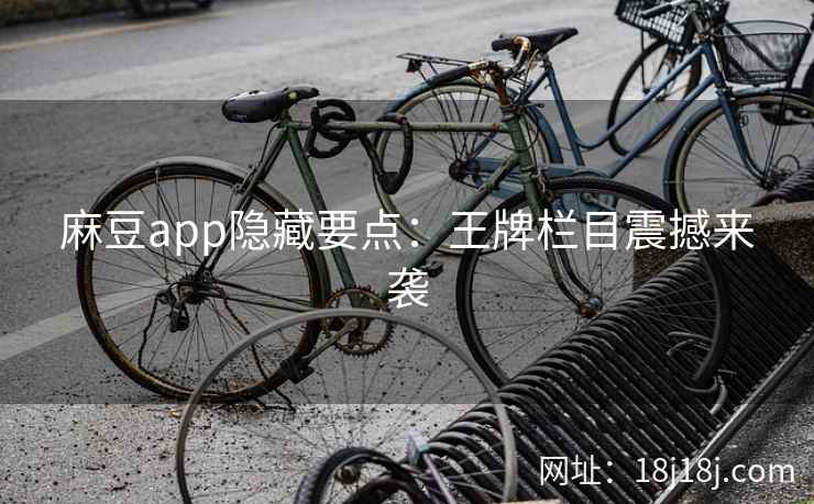 麻豆app隐藏要点：王牌栏目震撼来袭