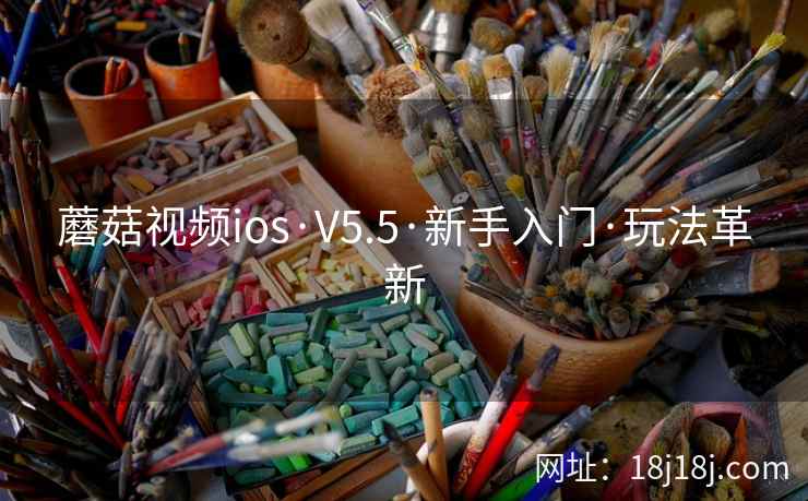 蘑菇视频ios·V5.5·新手入门·玩法革新