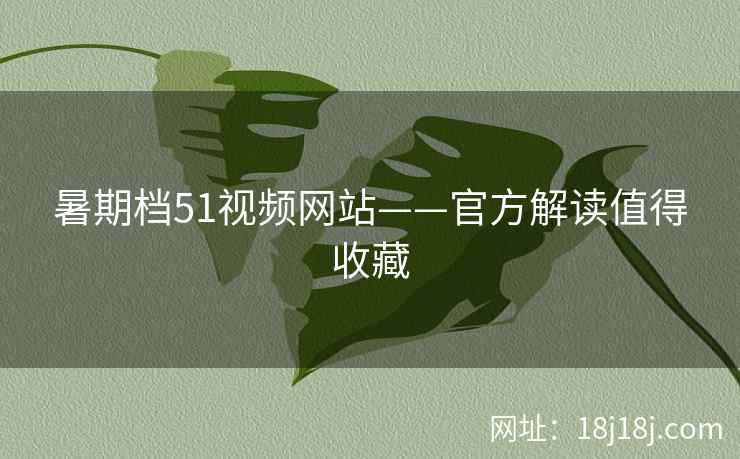 暑期档51视频网站——官方解读值得收藏