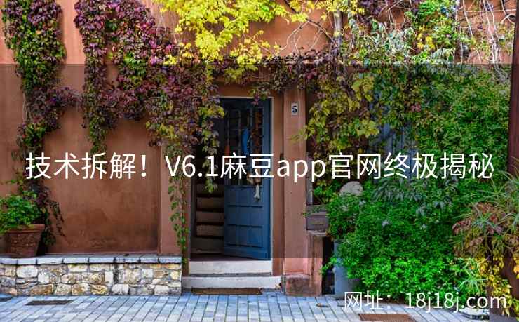 技术拆解！V6.1麻豆app官网终极揭秘