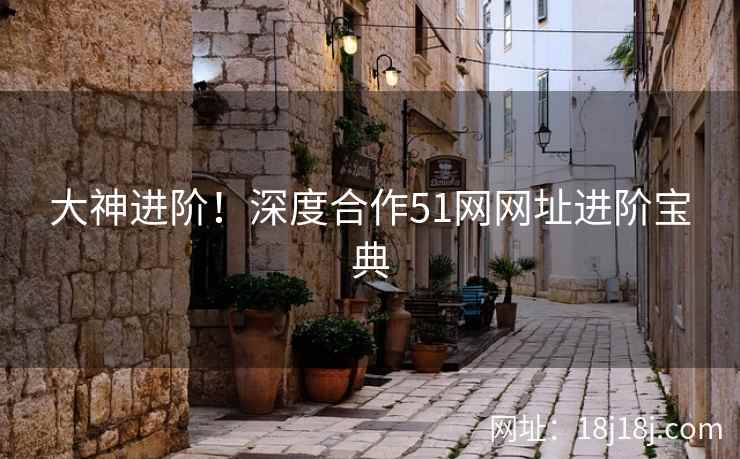 大神进阶！深度合作51网网址进阶宝典